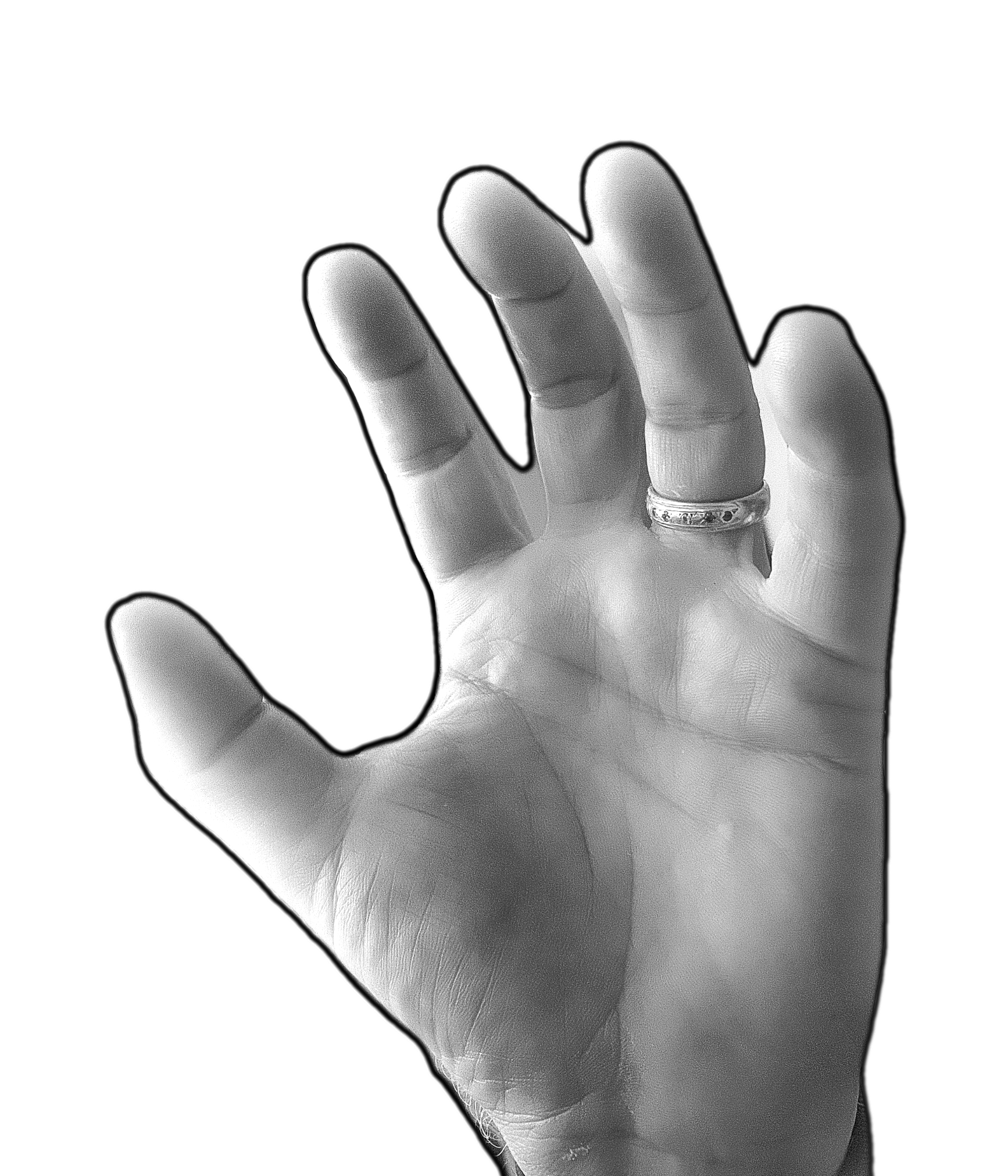 Stangle Hand STLBuddy