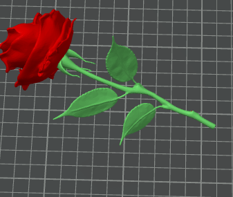 red rose