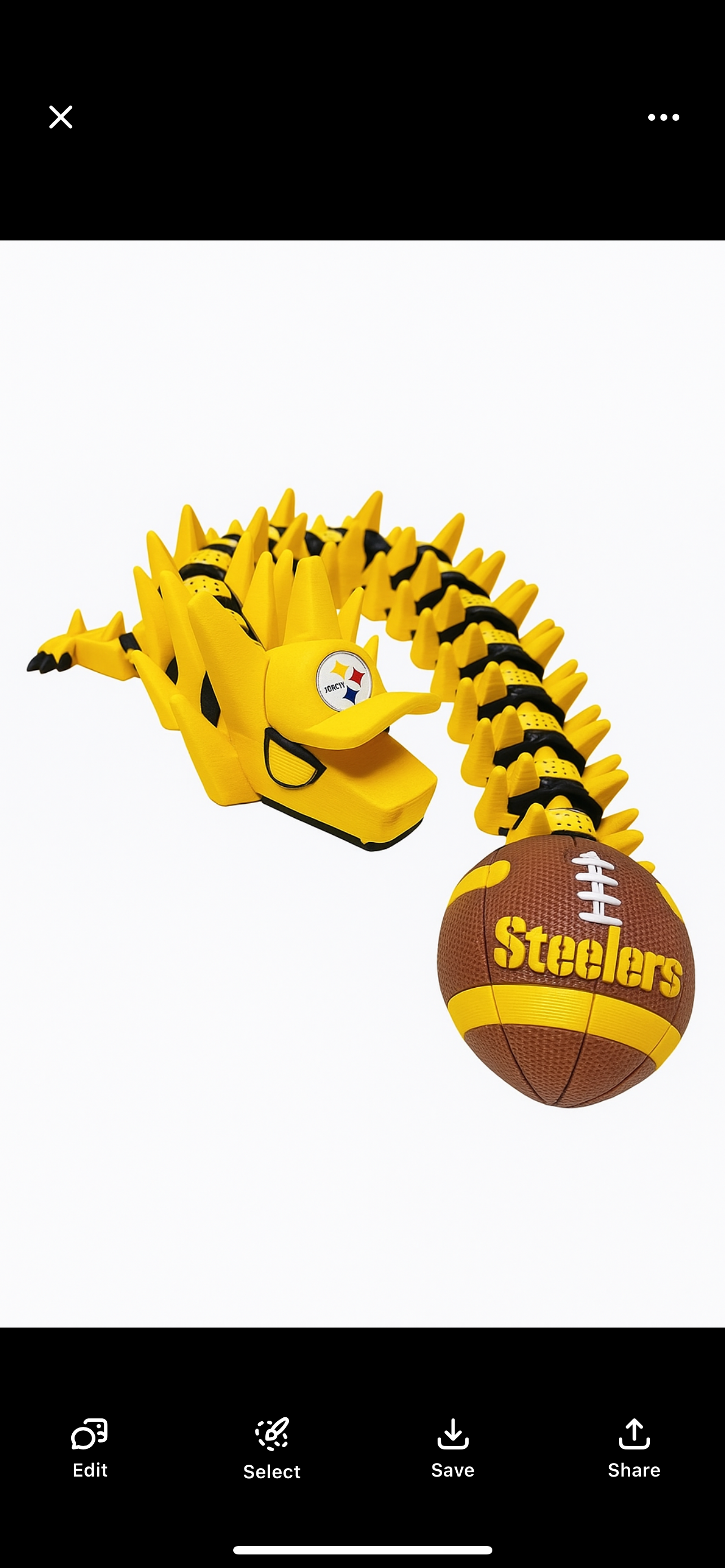 STEELERS DRAGON